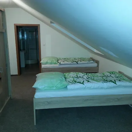 Guest house Stary Sedlonov